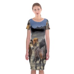 Horses Stampede Nature Running Classic Short Sleeve Midi Dress by Celenk