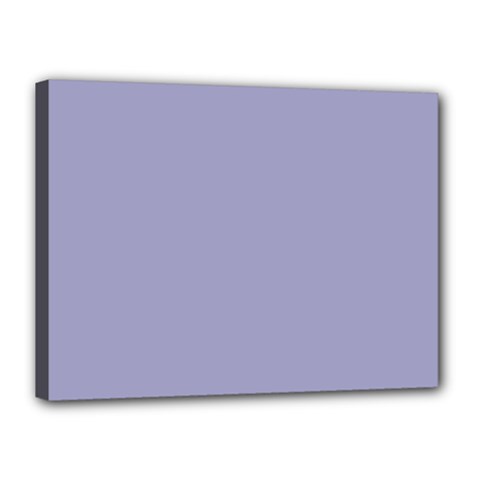 Grey Violet Canvas 16  X 12  by snowwhitegirl