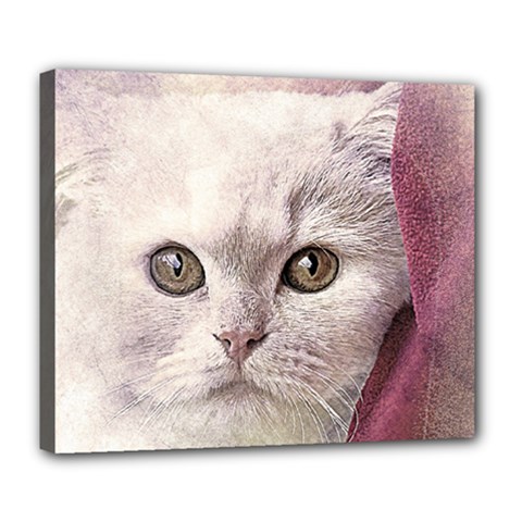 Cat Pet Cute Art Abstract Vintage Deluxe Canvas 24  X 20   by Nexatart