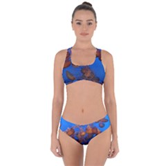 Jellyfish Aquarium Criss Cross Bikini Set by trendistuff