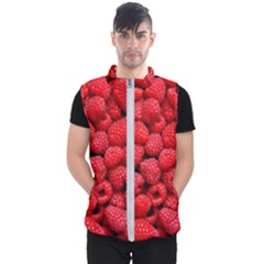 Raspberries 2 Men s Puffer Vest by trendistuff