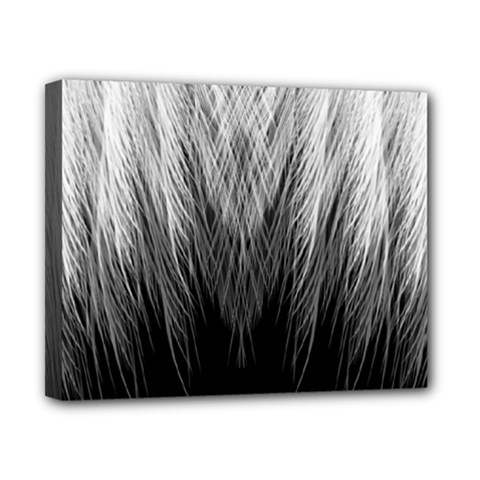 Feather Graphic Design Background Canvas 10  X 8  by Sapixe