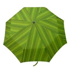 Green Leaf Pattern Plant Folding Umbrellas by Sapixe