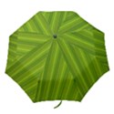 Green Leaf Pattern Plant Folding Umbrellas View1