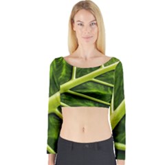 Leaf Dark Green Long Sleeve Crop Top by Sapixe