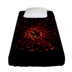 Red Flower Blooming In The Dark Fitted Sheet (single Size) by Sapixe