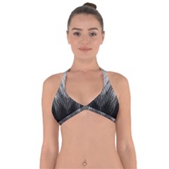 Feather Graphic Design Background Halter Neck Bikini Top by Sapixe