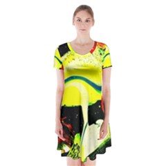 Drama 1 Short Sleeve V-neck Flare Dress by bestdesignintheworld