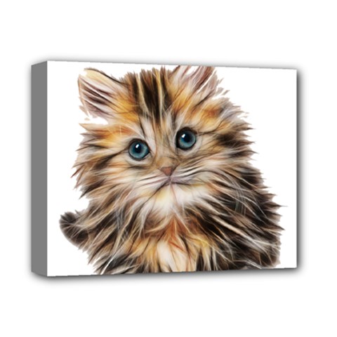 Kitten Mammal Animal Young Cat Deluxe Canvas 14  X 11  by Simbadda