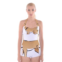 Dog Brown Pet Animal Tail Eskimo Boyleg Halter Swimsuit  by Nexatart