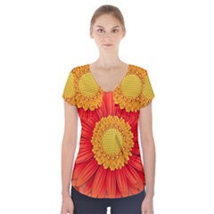 Flower Plant Petal Summer Color Short Sleeve Front Detail Top by Sapixe