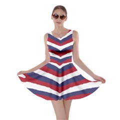 Us United States Red White And Blue American Zebra Strip Skater Dress by PodArtist