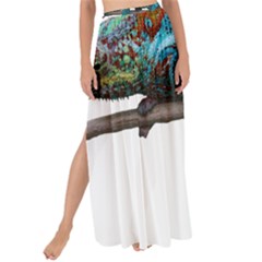 Reptile Lizard Animal Isolated Maxi Chiffon Tie-up Sarong by Sapixe