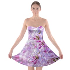 Pink Lilac Flowers Strapless Bra Top Dress by FunnyCow