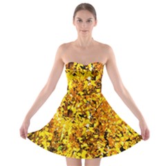 Birch Tree Yellow Leaves Strapless Bra Top Dress by FunnyCow