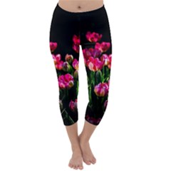 Pink Tulips Dark Background Capri Winter Leggings  by FunnyCow