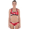 RED SWATCH#2 Cross Back Hipster Bikini Set View1