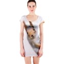 Curious Squirrel Short Sleeve Bodycon Dress View1