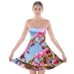 Crab Apple Blossoms Strapless Bra Top Dress by FunnyCow