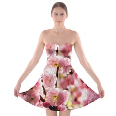 Blooming Almond At Sunset Strapless Bra Top Dress by FunnyCow