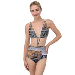 Oldtimer 168126 1920 Tied Up Two Piece Swimsuit by vintage2030