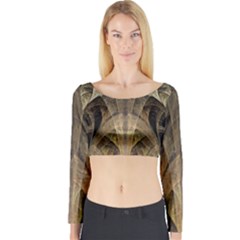 Fractal Art Graphic Design Image Long Sleeve Crop Top by Sapixe