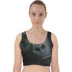 Gorilla Monkey Zoo Animal Velvet Racer Back Crop Top by Nexatart