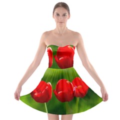 Three Red Tulips, Green Background Strapless Bra Top Dress by FunnyCow