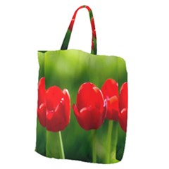 Three Red Tulips, Green Background Giant Grocery Tote by FunnyCow