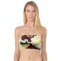 Flowers 1776585 1920 Bandeau Top View1