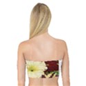 Flowers 1776585 1920 Bandeau Top View2