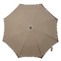 Background 1706649 1920 Hook Handle Umbrellas (Medium) View1