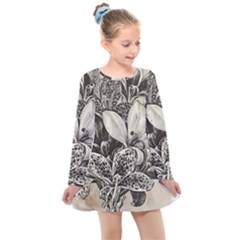 Flowers 1776382 1280 Kids  Long Sleeve Dress by vintage2030