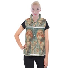 Vintage 1181673 1280 Women s Button Up Vest by vintage2030