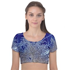 Crystalline Branches Velvet Short Sleeve Crop Top  by DeneWestUK