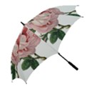 Rose 1078272 1920 Golf Umbrellas View2