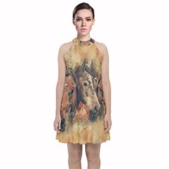 Head Horse Animal Vintage Velvet Halter Neckline Dress  by Simbadda