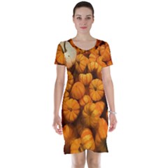 Pumpkins Tiny Gourds Pile Short Sleeve Nightdress by bloomingvinedesign