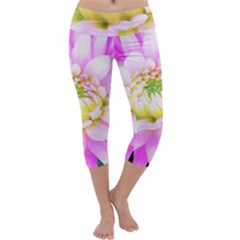 Pretty Pink, White And Yellow Cactus Dahlia Macro Capri Yoga Leggings by myrubiogarden