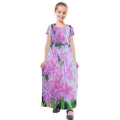 Hot Pink And White Peppermint Twist Garden Phlox Kids  Short Sleeve Maxi Dress by myrubiogarden