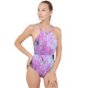 Hot Pink And White Peppermint Twist Garden Phlox High Neck One Piece Swimsuit View1