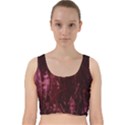 Wordsworth Crushed Velvet Velvet Racer Back Crop Top View1