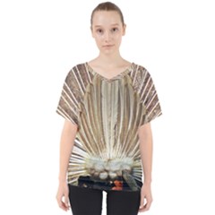 Peacock Wheel Bird Nature V-neck Dolman Drape Top by Wegoenart