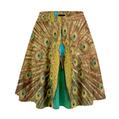 Peacock Feather Bird Peafowl High Waist Skirt by Wegoenart