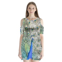 Peacock Bird Colorful Plumage Shoulder Cutout Velvet One Piece by Wegoenart