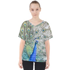 Peacock Bird Colorful Plumage V-neck Dolman Drape Top by Wegoenart