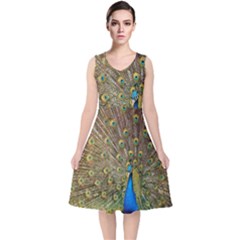 Peacock Plumage Bird Peafowl V-neck Midi Sleeveless Dress  by Wegoenart