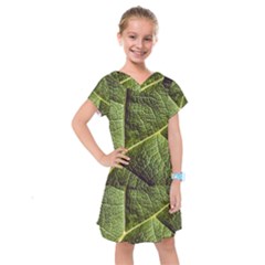 Green Leaf Giant Rhubarb Mammoth Sheet Kids  Drop Waist Dress by Wegoenart