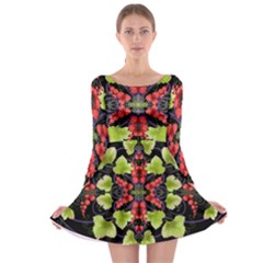 Pattern Berry Red Currant Plant Long Sleeve Skater Dress by Pakrebo