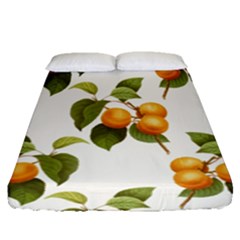 Apricot Fruit Vintage Art Fitted Sheet (queen Size) by Pakrebo